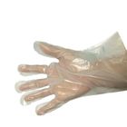 200 Micron 100% Compostable Biodegradable Disposable Gloves