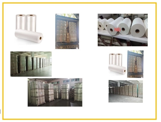 Transparent White BOPP Thermal Lamination Film With Eva Coating For Paper / Plastic