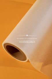 Multiple Extrusion Hot Lamination Film Rolls With Premium EVA For Magazines