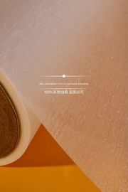 Moisture Proof Hot Lamination Film High Efficiency Strong Adhesiveness
